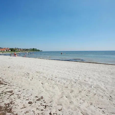 Tit Prázdninový dům